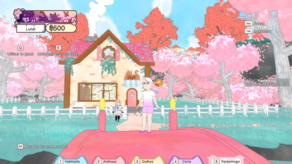 Gameplay de Calico